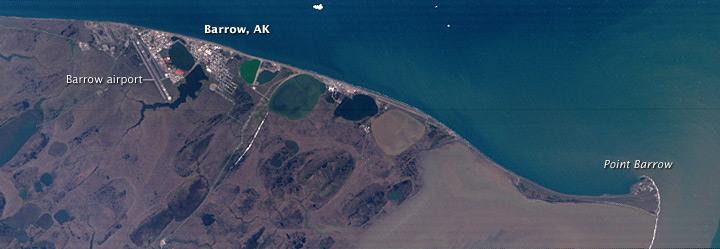 Studying Plants, Permafrost, and Carbon near Barrow, Alaska - related image preview