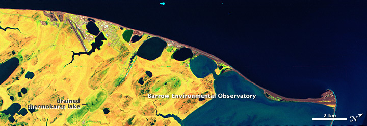 Studying Plants, Permafrost, and Carbon near Barrow, Alaska - related image preview