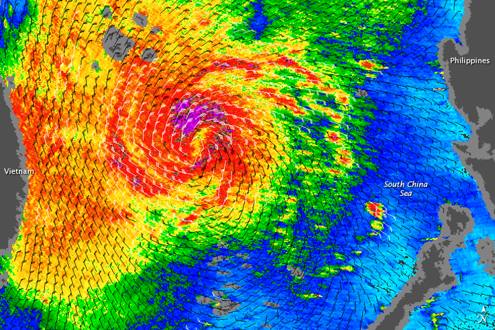 Typhoon Mirinae - related image preview
