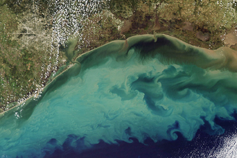 Sediment in the Gulf of Mexico - related image preview