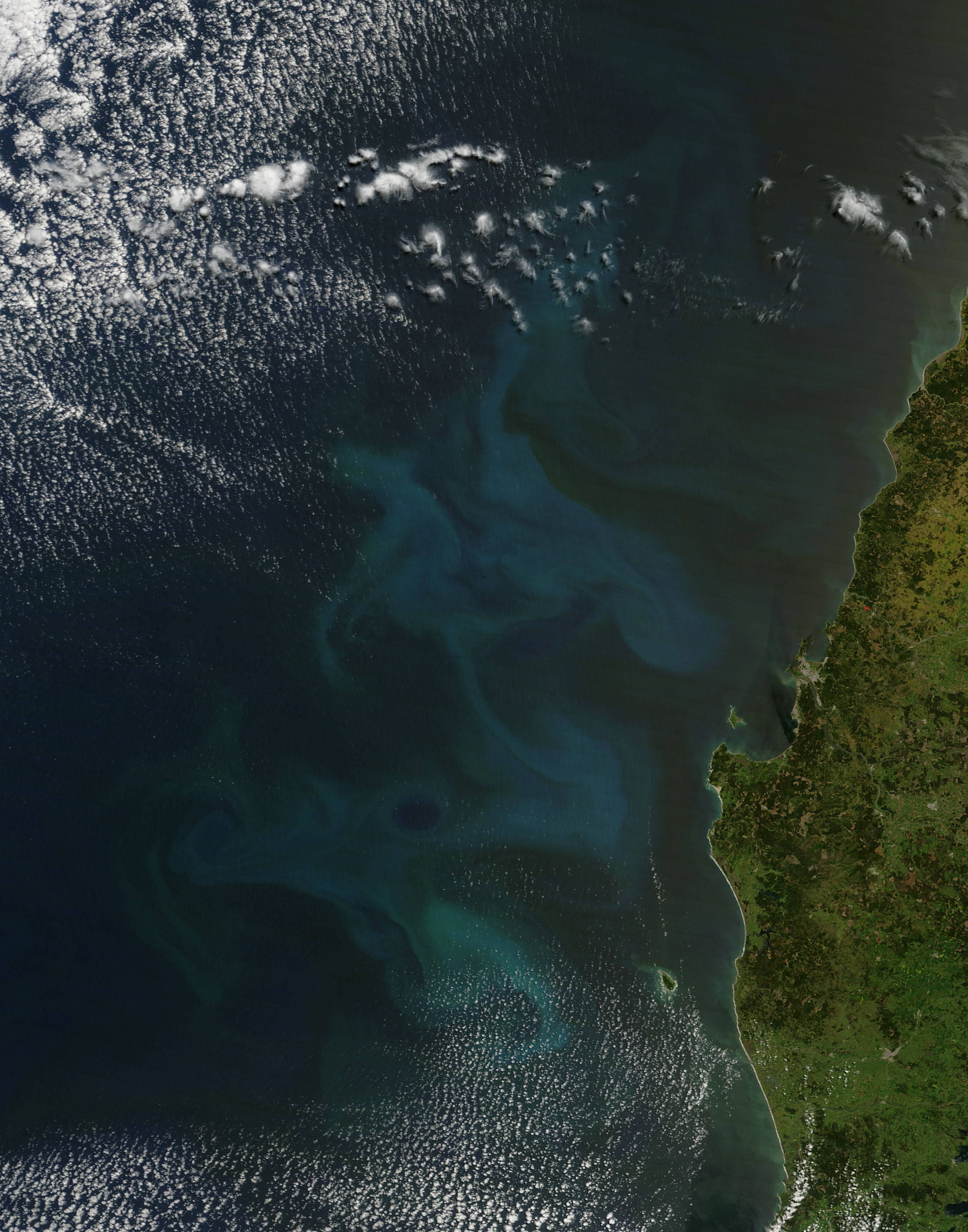 Phytoplankton Bloom off Chile - related image preview