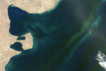 Spring Bloom in the South Atlantic Ocean - related image preview