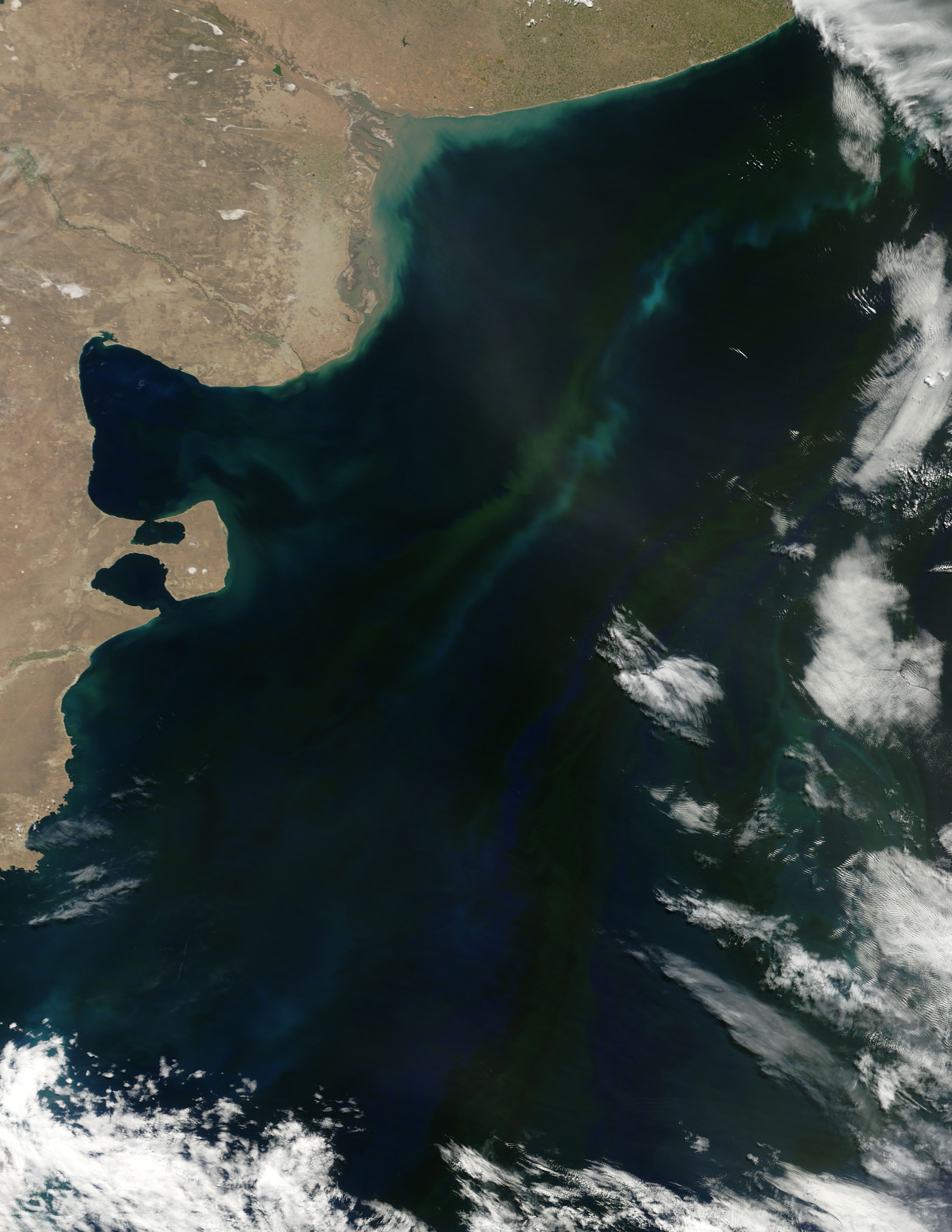 Spring Bloom in the South Atlantic Ocean - related image preview