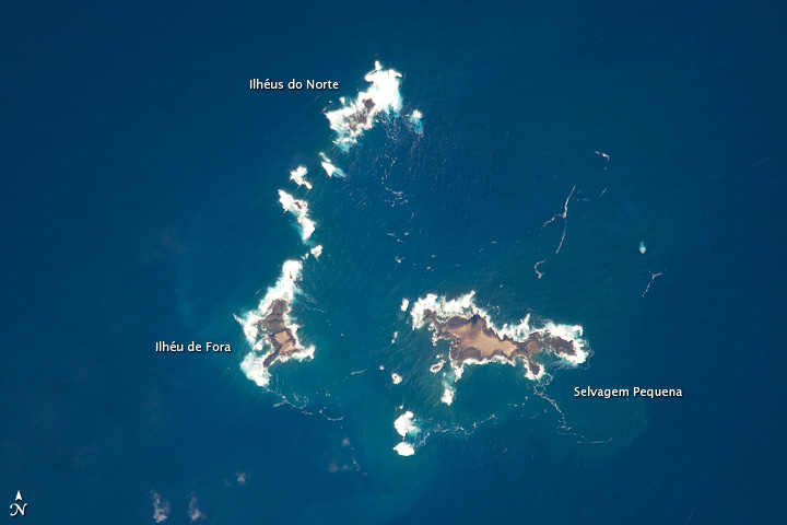 Savage Islands, Atlantic Ocean - related image preview