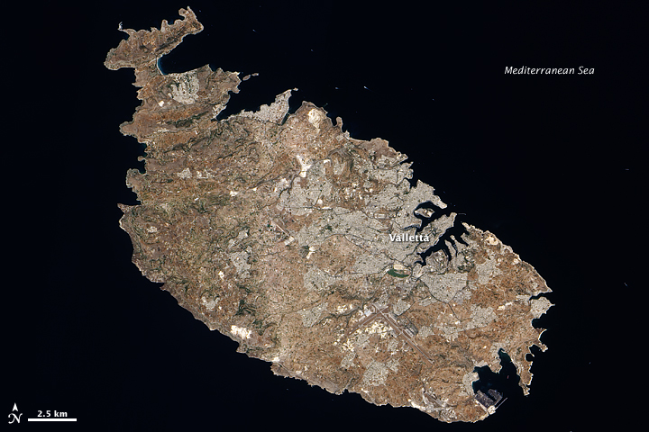 The Island of Malta