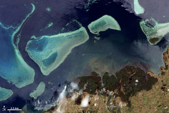 Mangroves and Coral Reefs, Viti Levu, Fiji