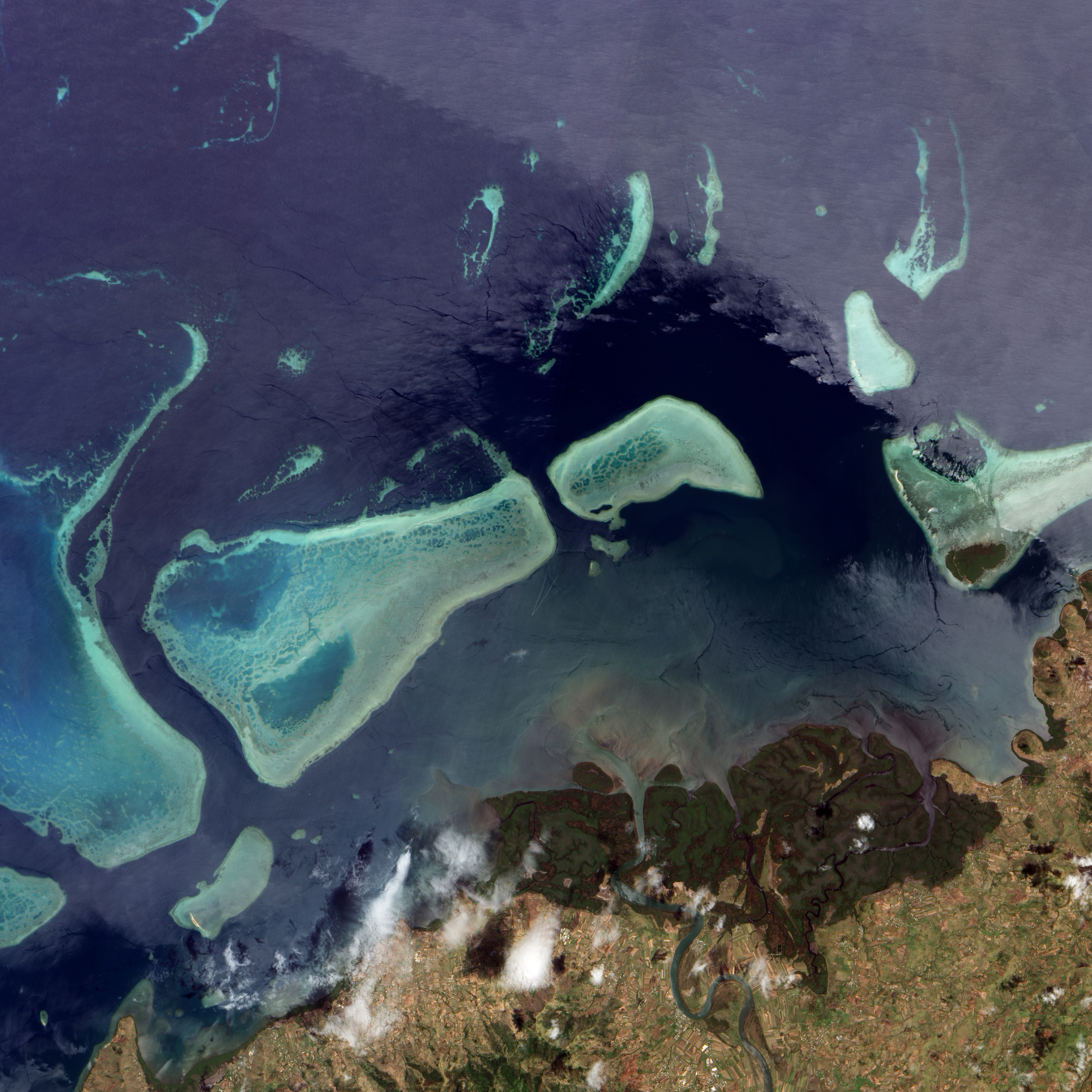 Mangroves and Coral Reefs, Viti Levu, Fiji - related image preview