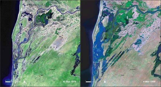 Lake Djoudj, Senegal - related image preview