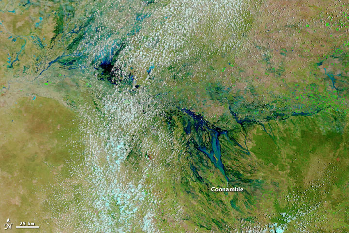 Flooding in New South Wales