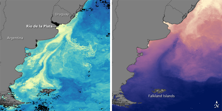 Currents Collide and Coastal Waters Bloom off Patagonia