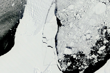 Rapid Sea Ice Breakup along the Ronne-Filchner Ice Shelf