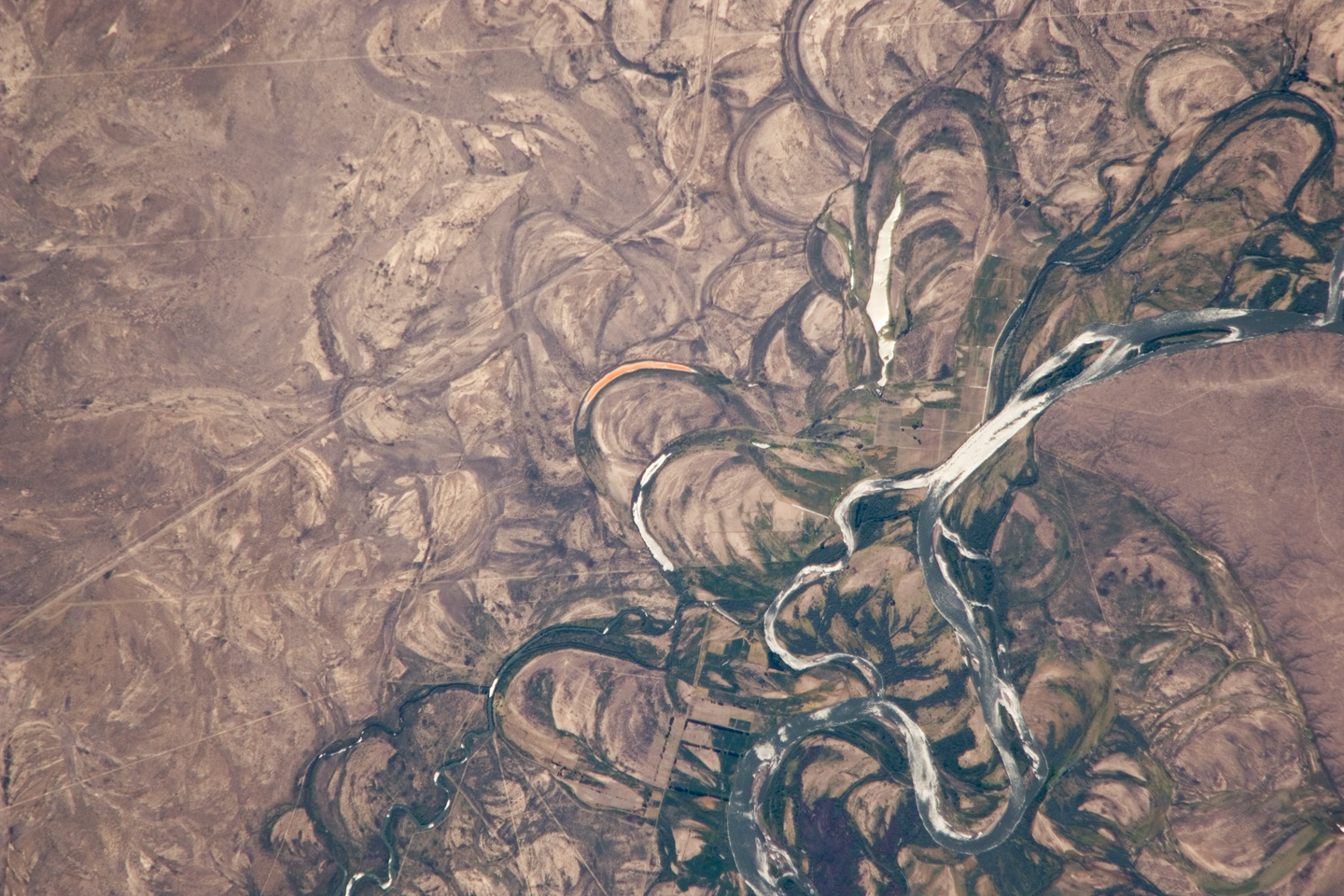 Rio Negro Floodplain, Patagonia, Argentina - related image preview