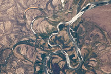 Rio Negro Floodplain, Patagonia, Argentina
