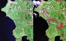 Peloponnesus Peninsula, Greece - Fire Scars - selected image