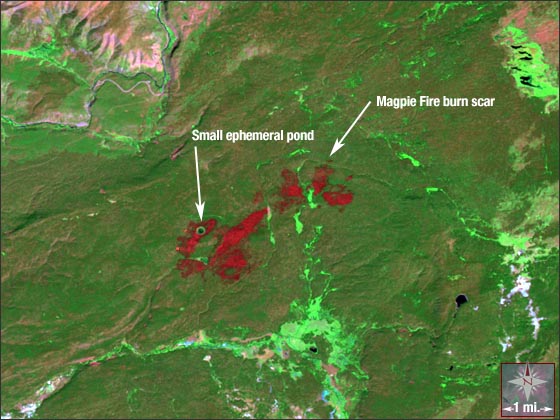 Magpie Fire in Yellowstone National Park - related image preview