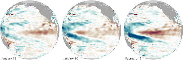 Kelvin Wave Renews El Niño