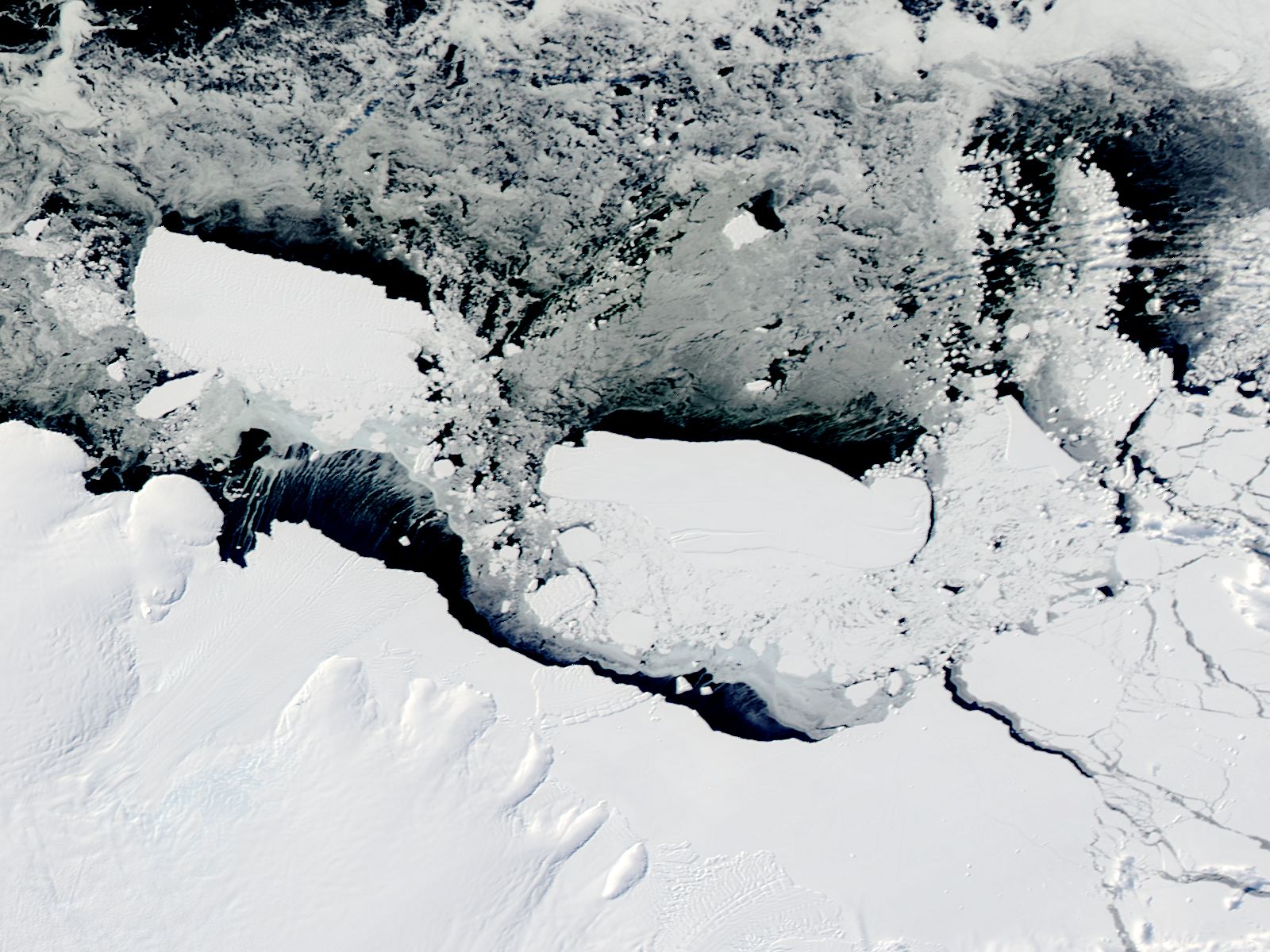 Icebergs off the Antarctic Coast - related image preview