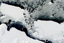 Icebergs off the Antarctic Coast