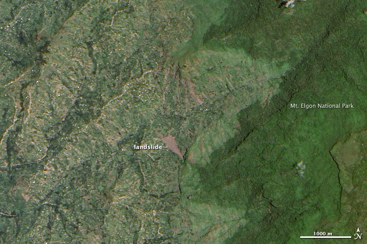 Large Landslide in Uganda - related image preview