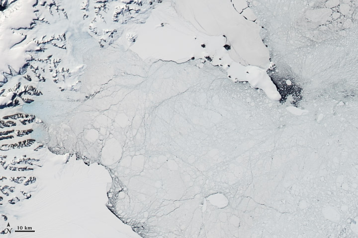 Fragments of Larsen B Ice Shelf Lingered Until 2005