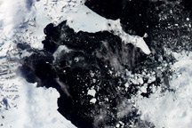 Fragments of Larsen B Ice Shelf Lingered Until 2005