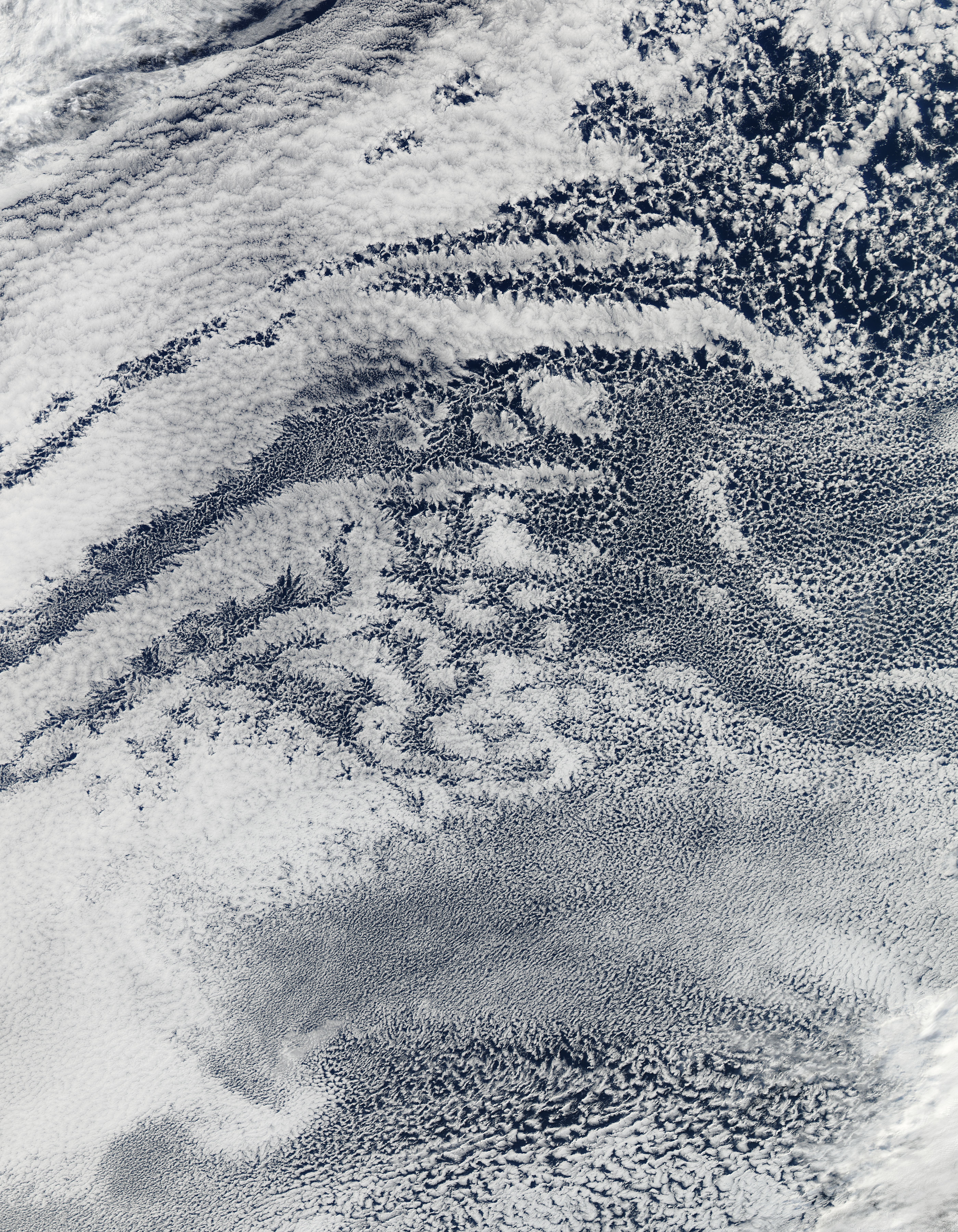 Open- and Closed-Cell Clouds over the Pacific Ocean - related image preview