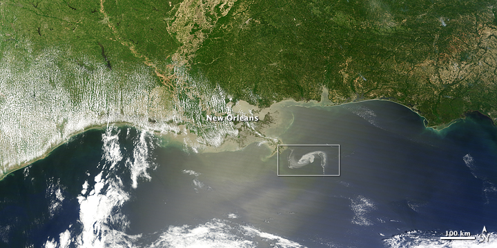 Gulf Oil Spill Creeps Towards Mississippi Delta  - related image preview