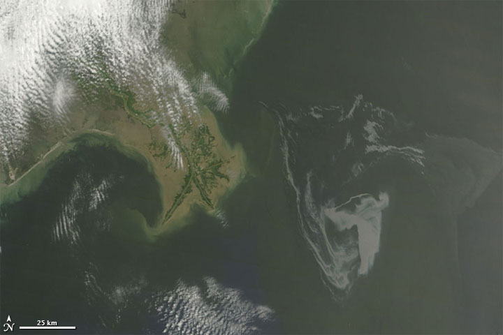 Oil Slick Near Mississippi Delta - related image preview