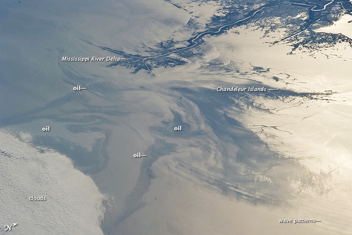 Gulf of Mexico Oil Spill Observed From the International Space Station