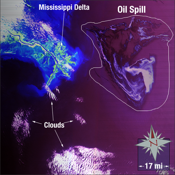 Gulf of Mexico Oil Spill 2010 - related image preview