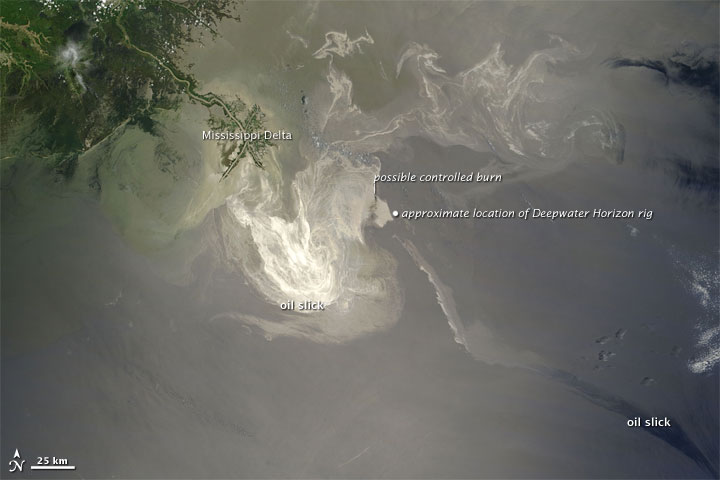 Oil Slick in the Gulf of Mexico - related image preview