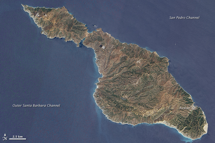 Santa Catalina Island, California