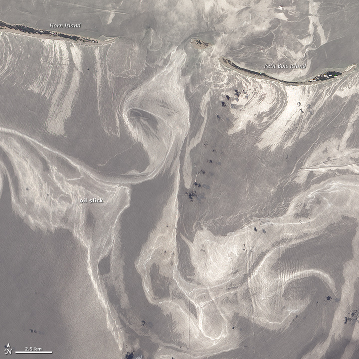 Oil Slick Around Mississippi Barrier Islands - related image preview