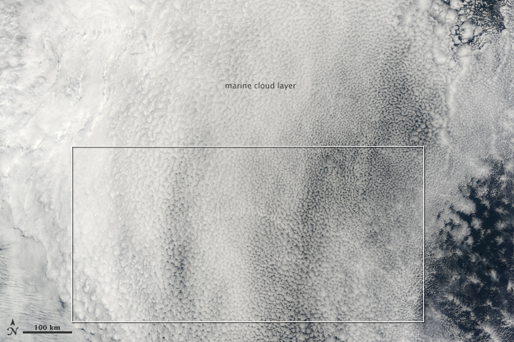 Ship Tracks in the North Pacific - related image preview