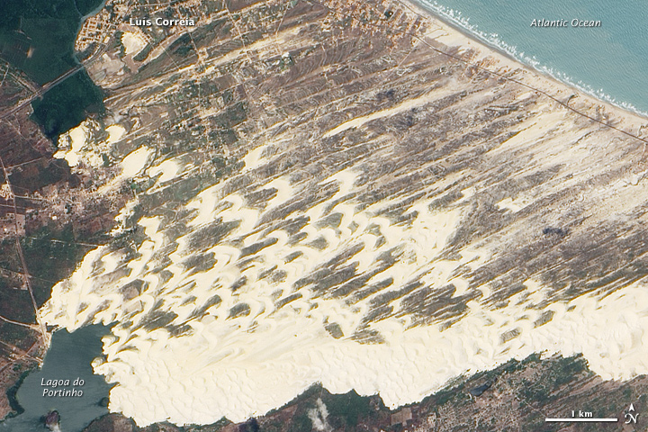 Brazilian Dune Fields