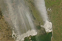 Dust Plumes over Argentina