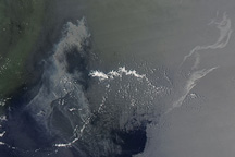 Oil Slick in the Gulf of Mexico