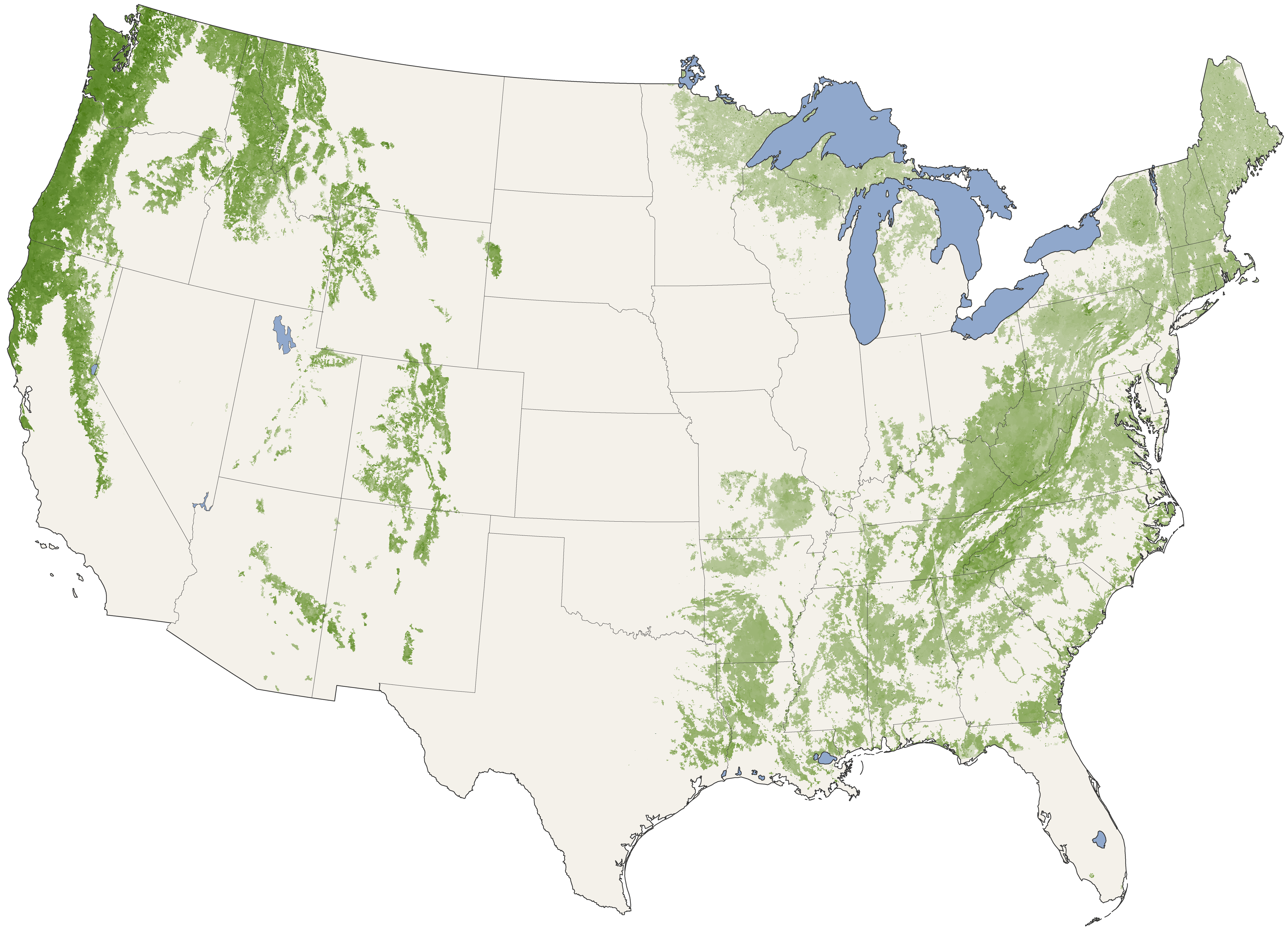 Forest Canopy Heights Across the United States - related image preview
