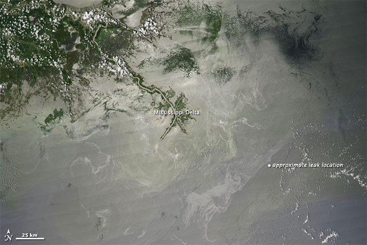 Oil Slick in the Gulf of Mexico - related image preview