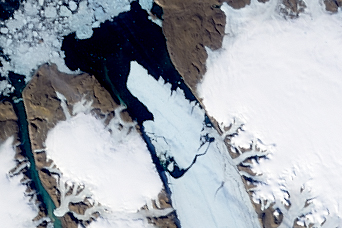 Ice Island calves off Petermann Glacier - related image preview