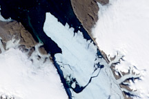 Ice Island calves off Petermann Glacier
