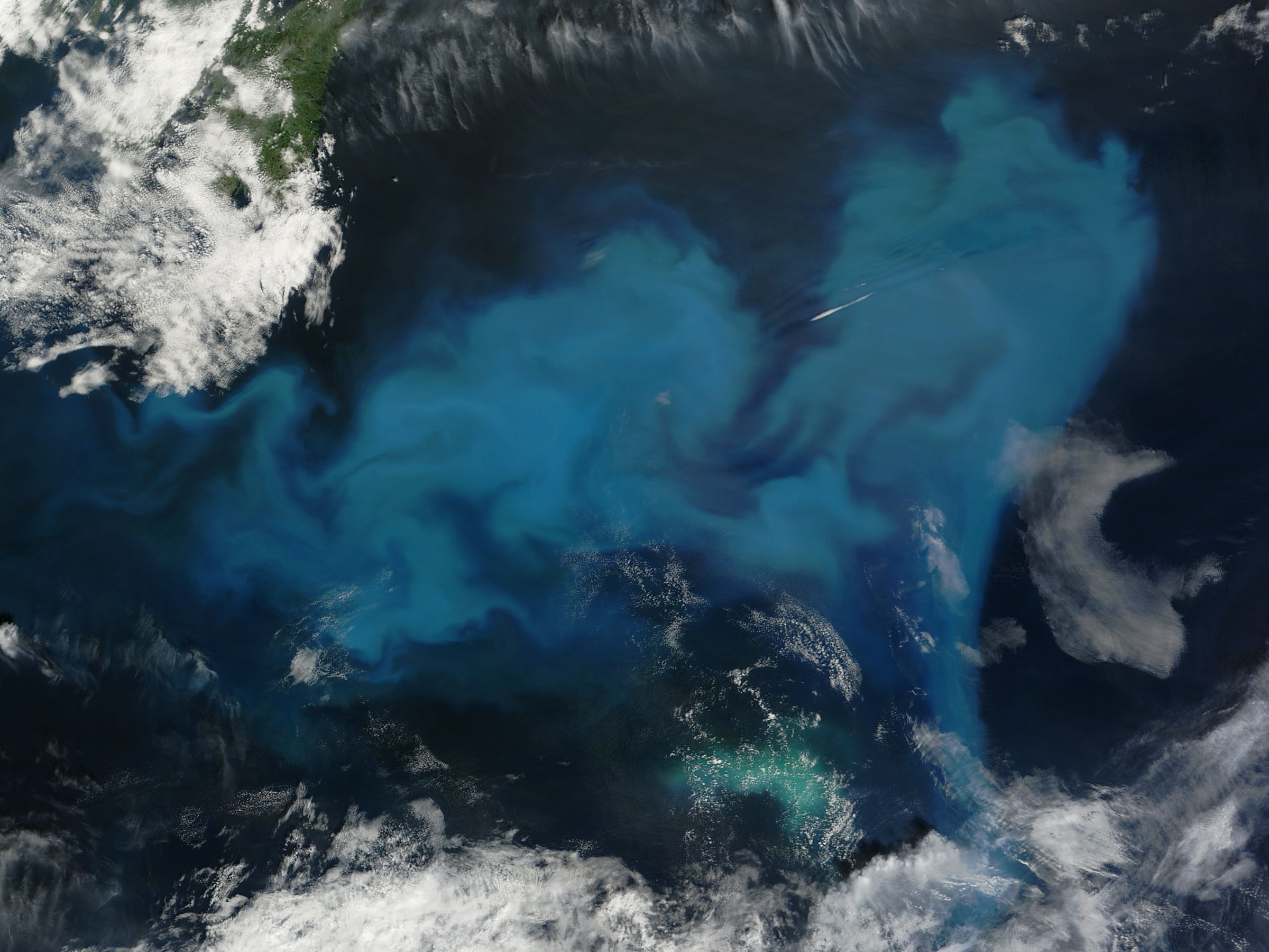 Phytoplankton Bloom off Newfoundland - related image preview