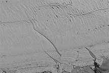 Ice Island Calves off Petermann Glacier - selected image