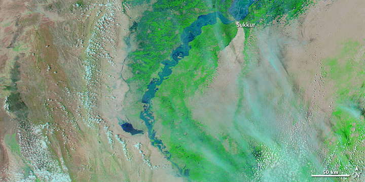 Flooding along the Lower Indus River - related image preview