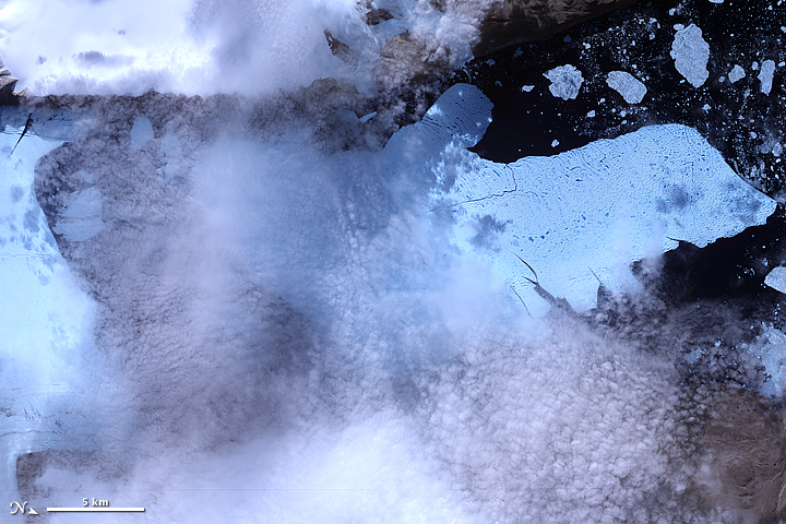 Ice Island Calves off Petermann Glacier