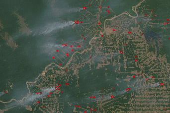 Fires near Porto Velho, Brazil - related image preview