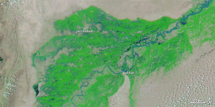 Flooding in Pakistan - related image preview