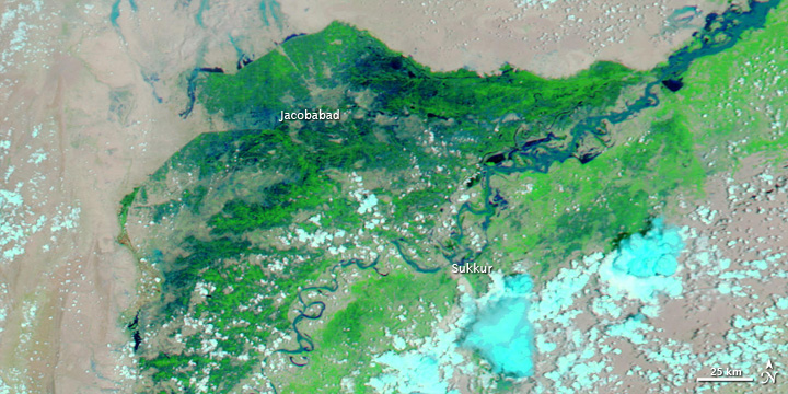 Flooding in Pakistan - related image preview