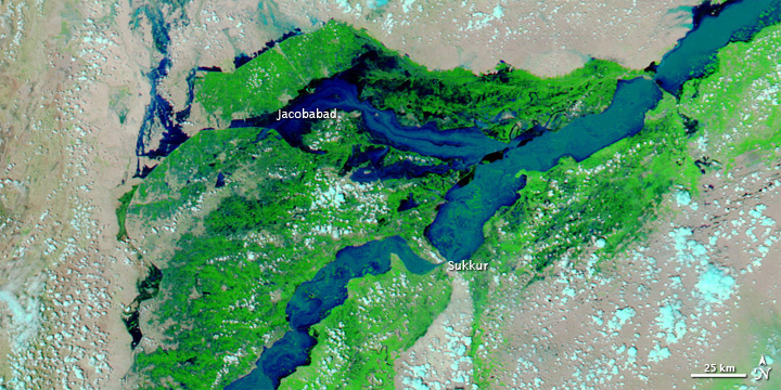 Flooding in Pakistan - related image preview