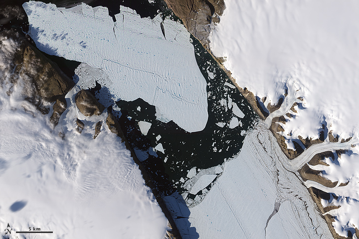 Ice Island Calves off Petermann Glacier